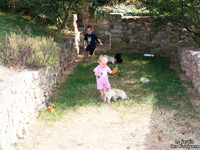 pension canine Morbihan Bretagne